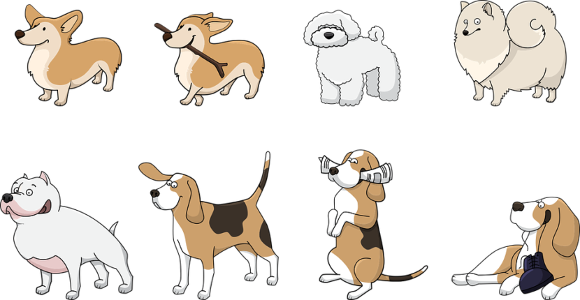 comparador-seguros-mascotas